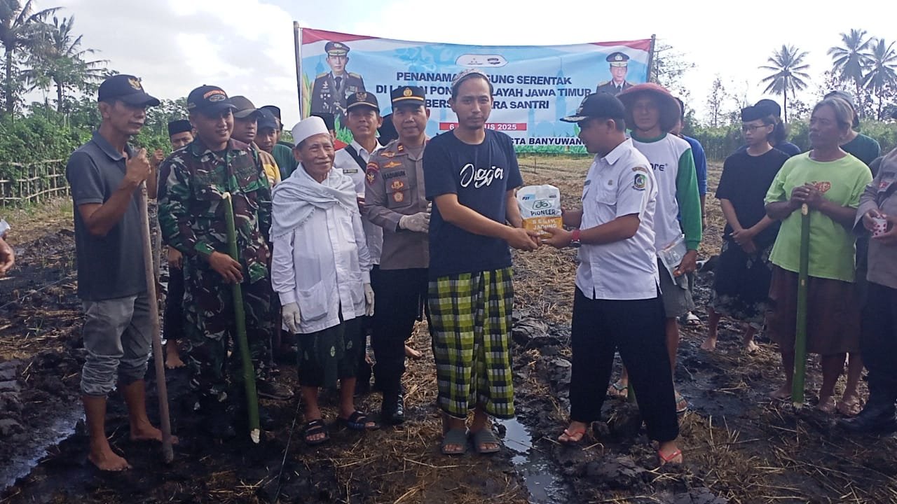 Sinergi TNI-Polri, Pemerintah, dan Ponpes Wujudkan Ketahanan Pangan Melalui Tanam Jagung Serentak di Tegaldlimo
