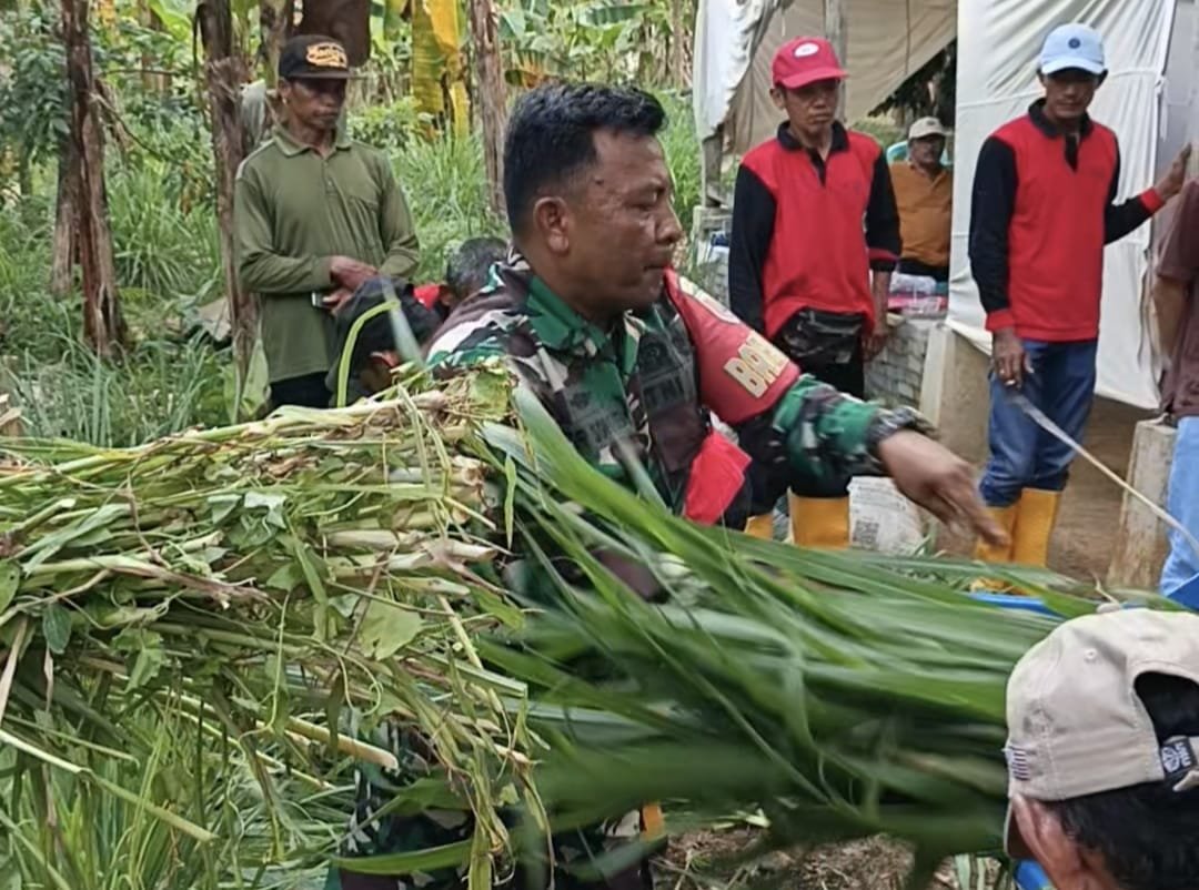 bimtek budidaya dan pengolahan pakan ternak terjun praktek membuat pakan ternak dalam suasana TMMD 126 Lebakharjo