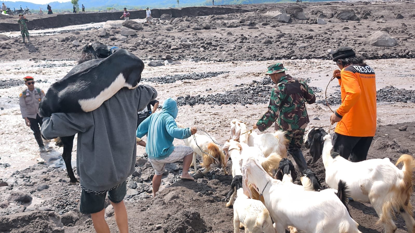 Personel Kodim 0821/Lumajang Bantu Evakuasi Barang Berharga Warga Terdampak Banjir Lahar Dingin Semeru