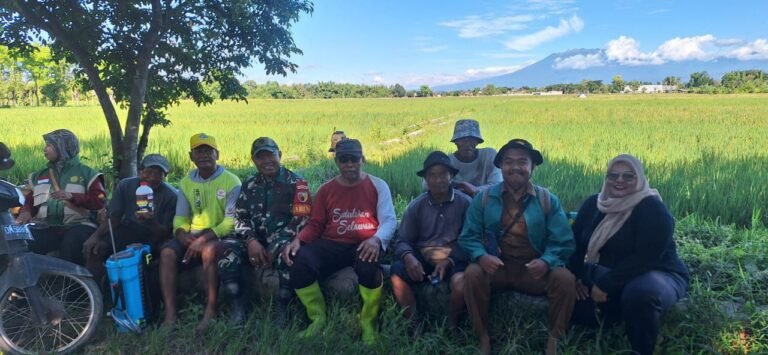 Sinergi Babinsa dan Petani Watukebo Kendalikan Hama Tikus dan Wereng guna Perkuat Ketahanan Pangan