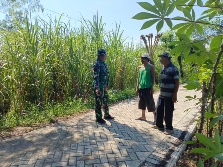Pavingisasi Program TMMD Ke-128 Bikin Masyarakat Ceria, Lingkungan Jadi Rapi