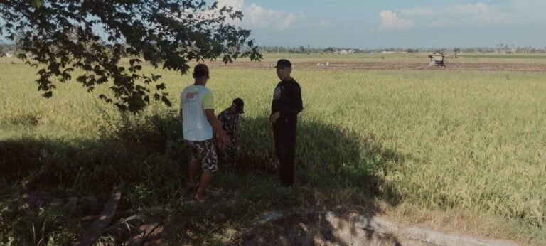 Dekat dengan Petani, Serda Herman Jalin Komsos Bahas Produktivitas Pertanian di Desa Binaan